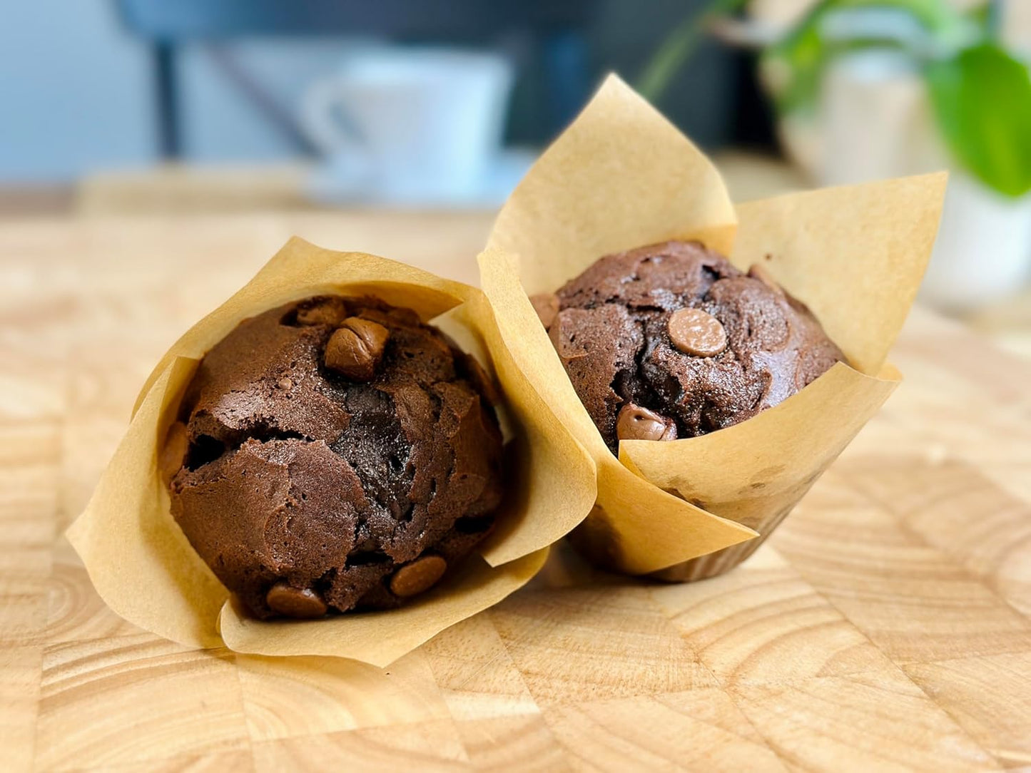 Molibake Chocolate Muffin Mix - Pack of 1 – Premium Chocolate Muffins Baking Mix with Cocoa Powder and Real Chips for Home Oven and Maker – 14 oz – Easy-to-Use Mix for Fluffy, Bakery-Style Homemade