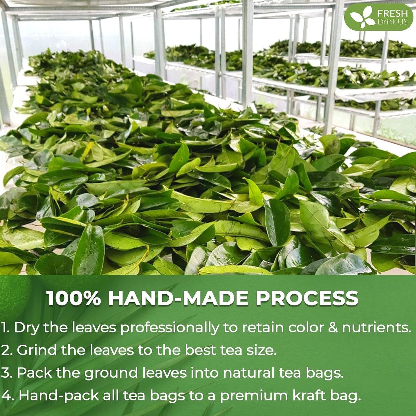 FreshDrinkUS, 15 Premium Soursop Graviola Leaf Tea Bags, 100% Natural and Pure from Soursop Leaves, Handmade, Made With Natural Materials-Corn Fiber Tea Bag, Sugar/ Caffeine/ Gluten Free, Hoja Guanabana Tea