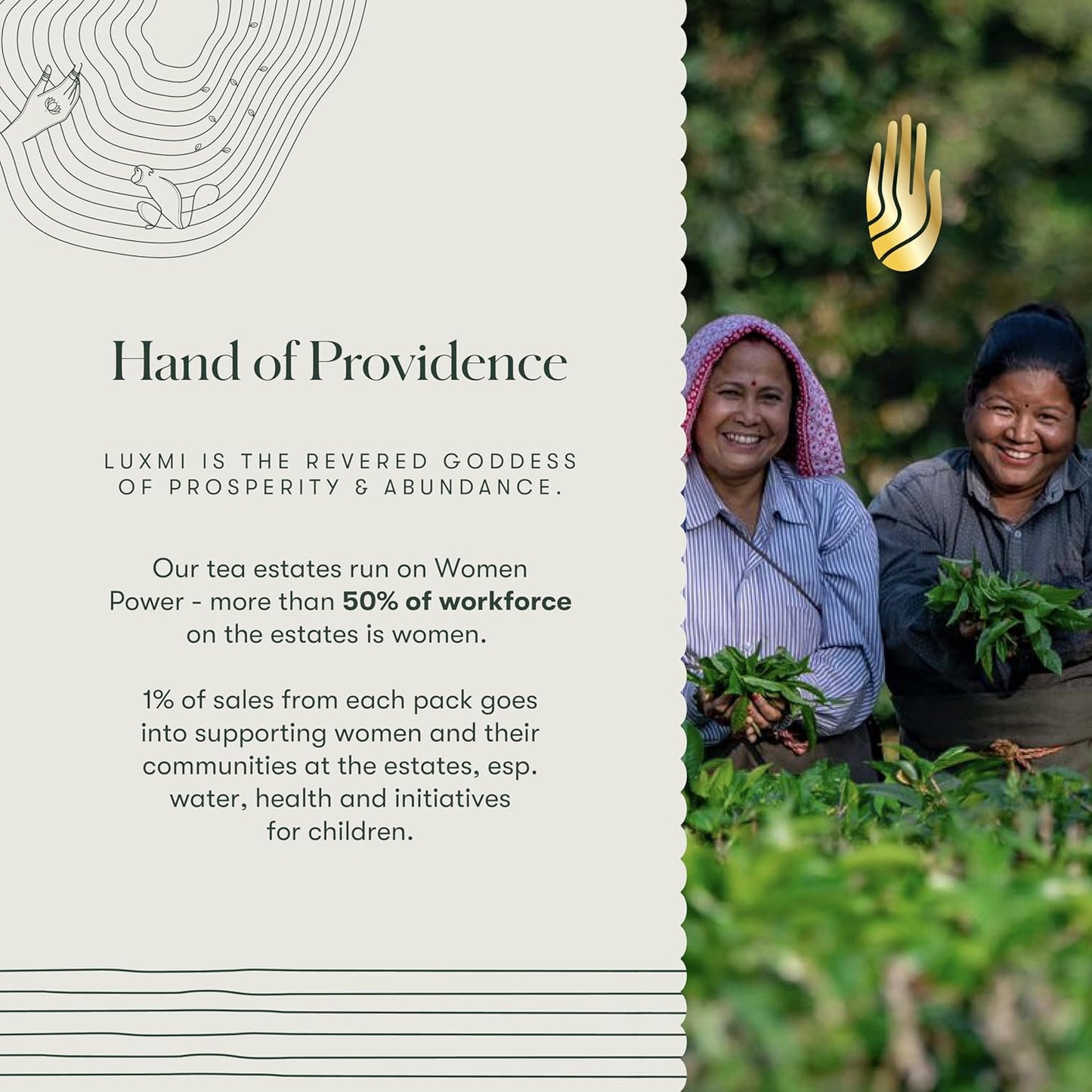 Luxmi Estates Rooibos Vanilla Organic Rooibos Tea (50 Tea Bags) Caffeine Free Tea Bags For Relaxing, Calming, and Stress Relief, With Certified Organic Herbal Tea