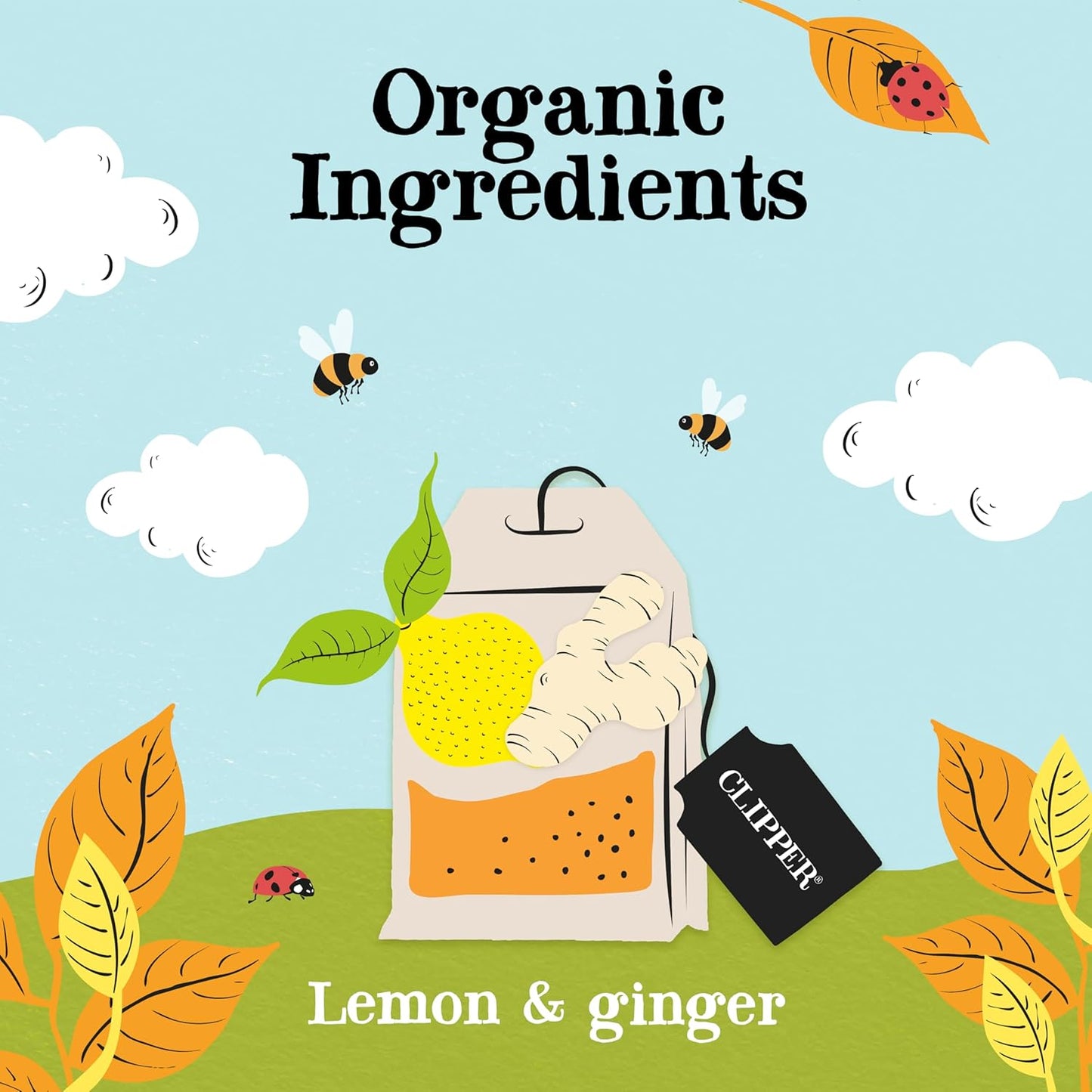 Clipper Tea Lemon & Ginger Teabags – Caffeine Free, USDA Organic, Great Hot or Iced – Aromatic, Natural, Fair & Delicious – 200 Tea Bags