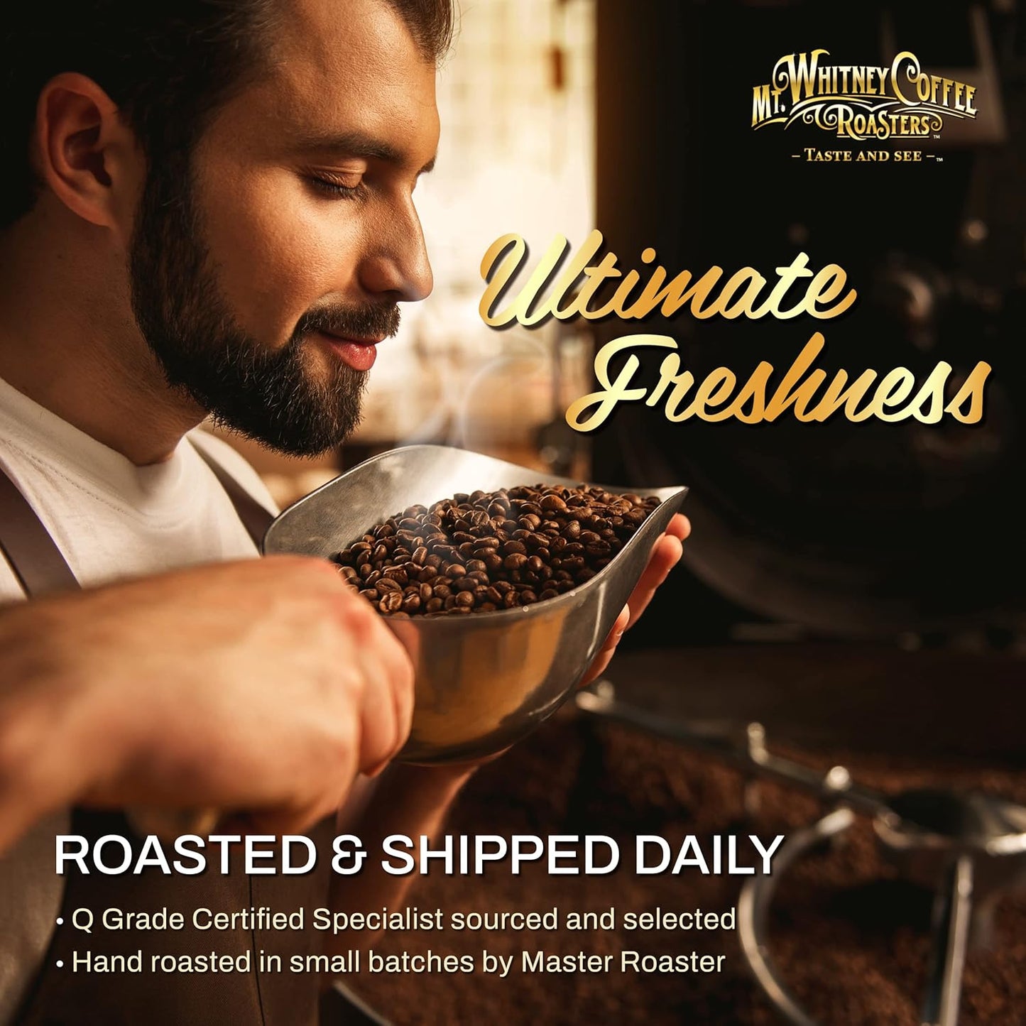 Mt. Whitney Guatemala Adiesto Cooperative Organic Low Acid Coffee (Ground, 5 lb)