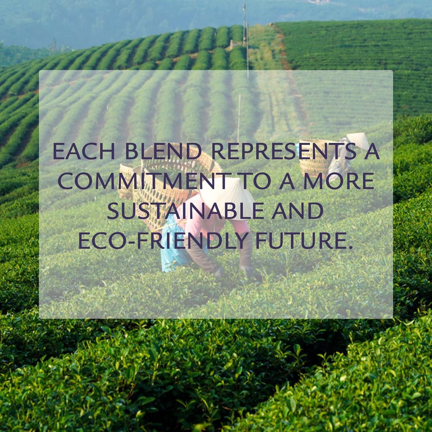 Birdsong Fountain of Pitta: Organic Green Tea Loose Leaf with Berries, Rooibos, and Cinnamon | Light, Refreshing and 100% Natural Tea with Health Benefits | Loose Leaf Hot, Cold Tea