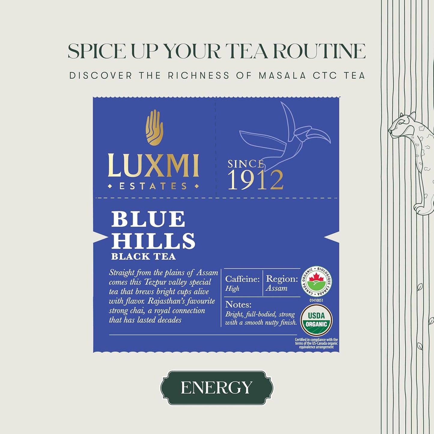 Luxmi Estates - Blue Hills - Organic CTC Assam Black Tea - Loose Leaf - 100g (50 Cups) | Jodhpur Blend - Rajasthan's Favorite Chai | Strong Cup of Original Indian Chai Tea - No Spices