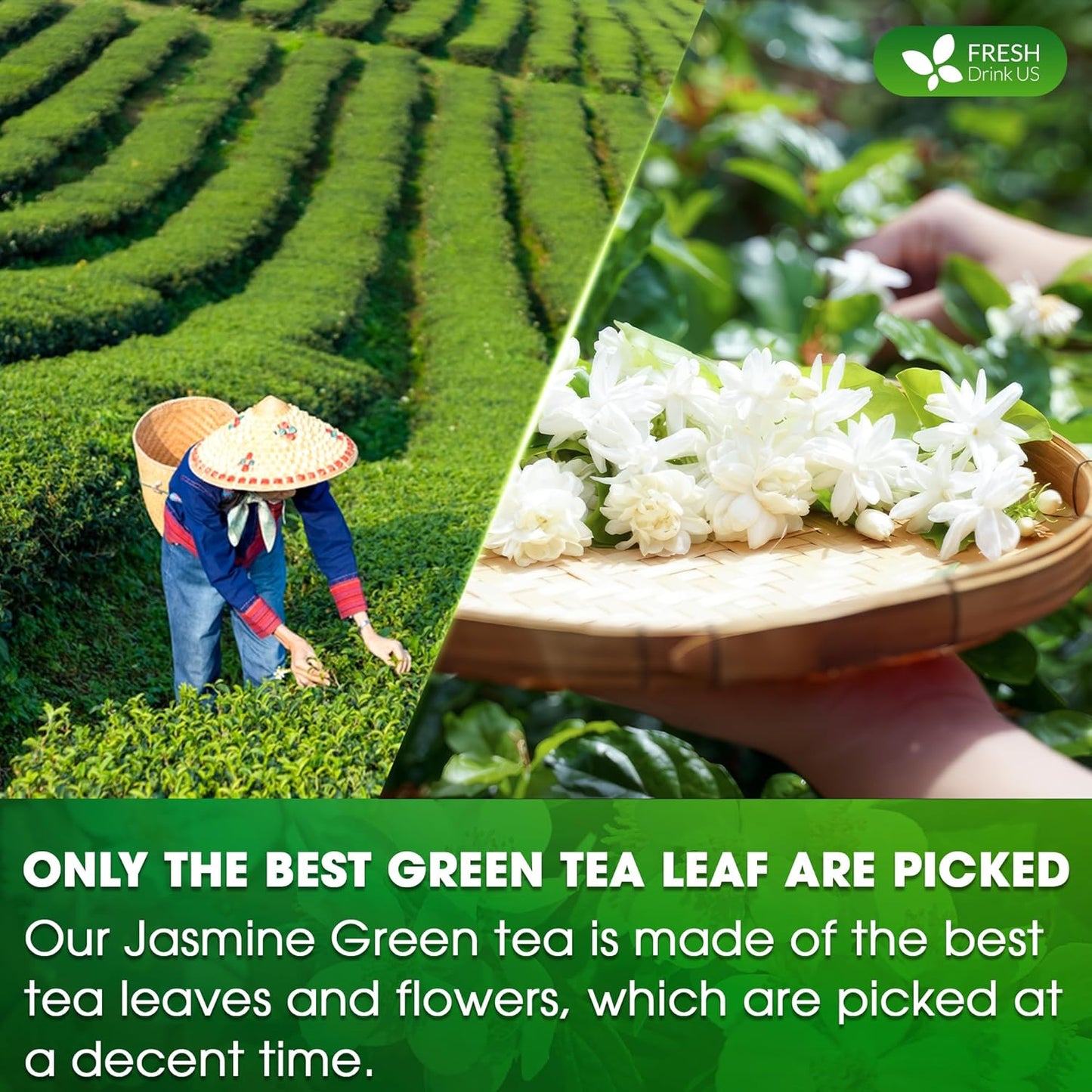 FreshDrinkUS Premium 135 Jasmine Green Tea Bags - 100% Natural & Pure, Made with Natural Material Tea Bags, No Sugar, No Gluten, Vegan