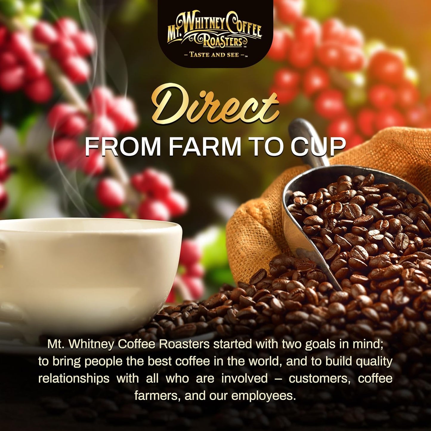 Mt. Whitney Base Camp Blend Coffee Beans - Medium Dark Roast Coffee, Low Acid Coffee - Ground Coffee, 2 pound (Pack of 1)