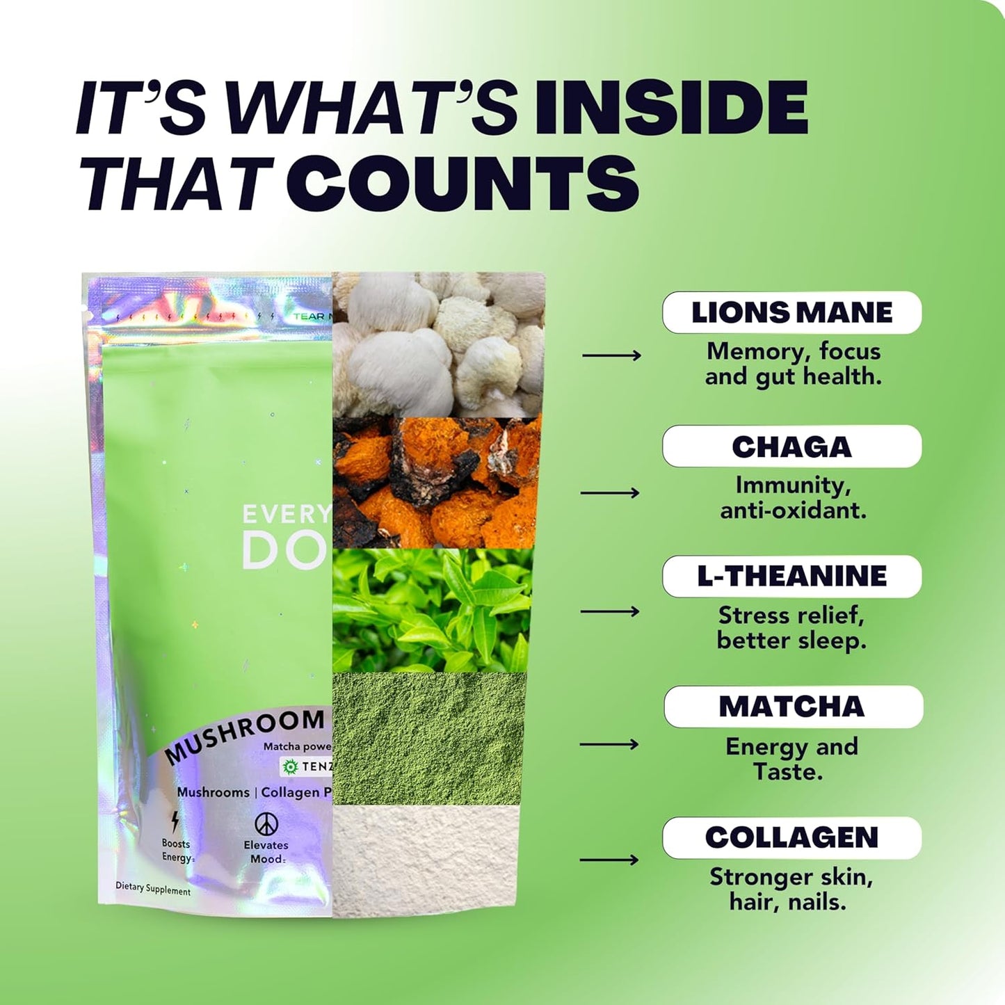 Everyday Dose Mushroom Matcha+ Ceremonial Grade Matcha Powder - Japanese Tea With Grass-Fed Collagen, Lion's Mane, Chaga, L-Theanine - For Better Focus, Energy, Digestion and Immunity - 30 Servings