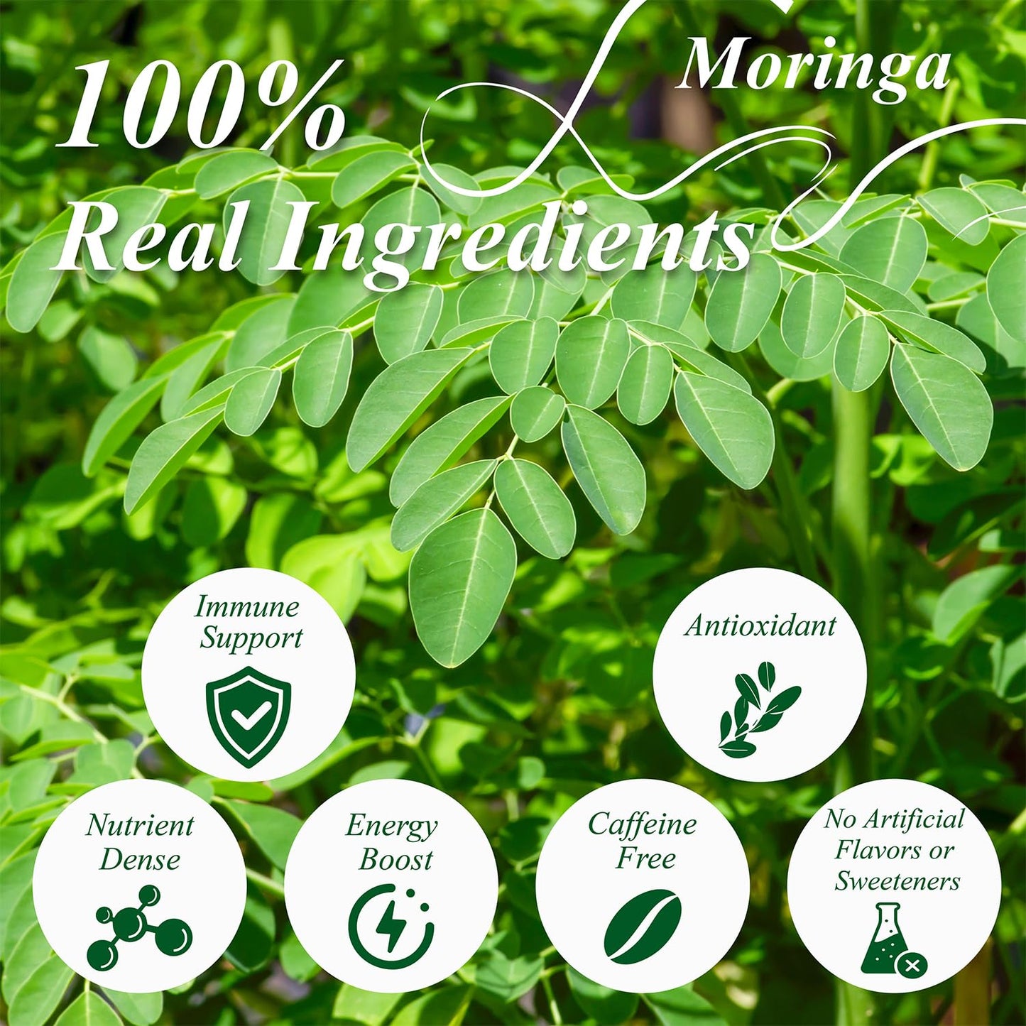 WT WEETEE Moringa Tea Bags 100 Count, 100% Pure Dried Moringa Leaves, Caffeine Free Nutrient-Dense Herbal Tea, Earthy Spinach Aroma & Bold Fermented Bean-Like Flavor