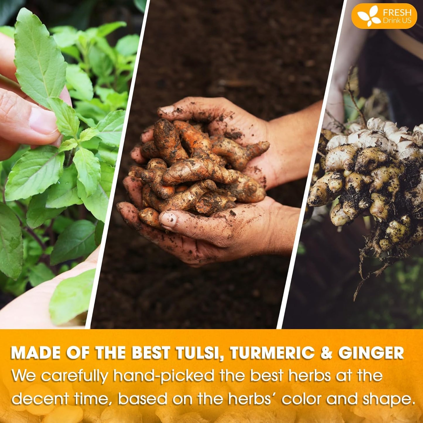 FreshDrinkUS, Premium 55 Tulsi Turmeric Ginger Tea Bags, 100% Natural & Pure from Tulsi Holy Basil Leaves, Turmeric and Ginger. Made with Natural Material Tea Bags. No Sugar, No Caffeine, Vegan.