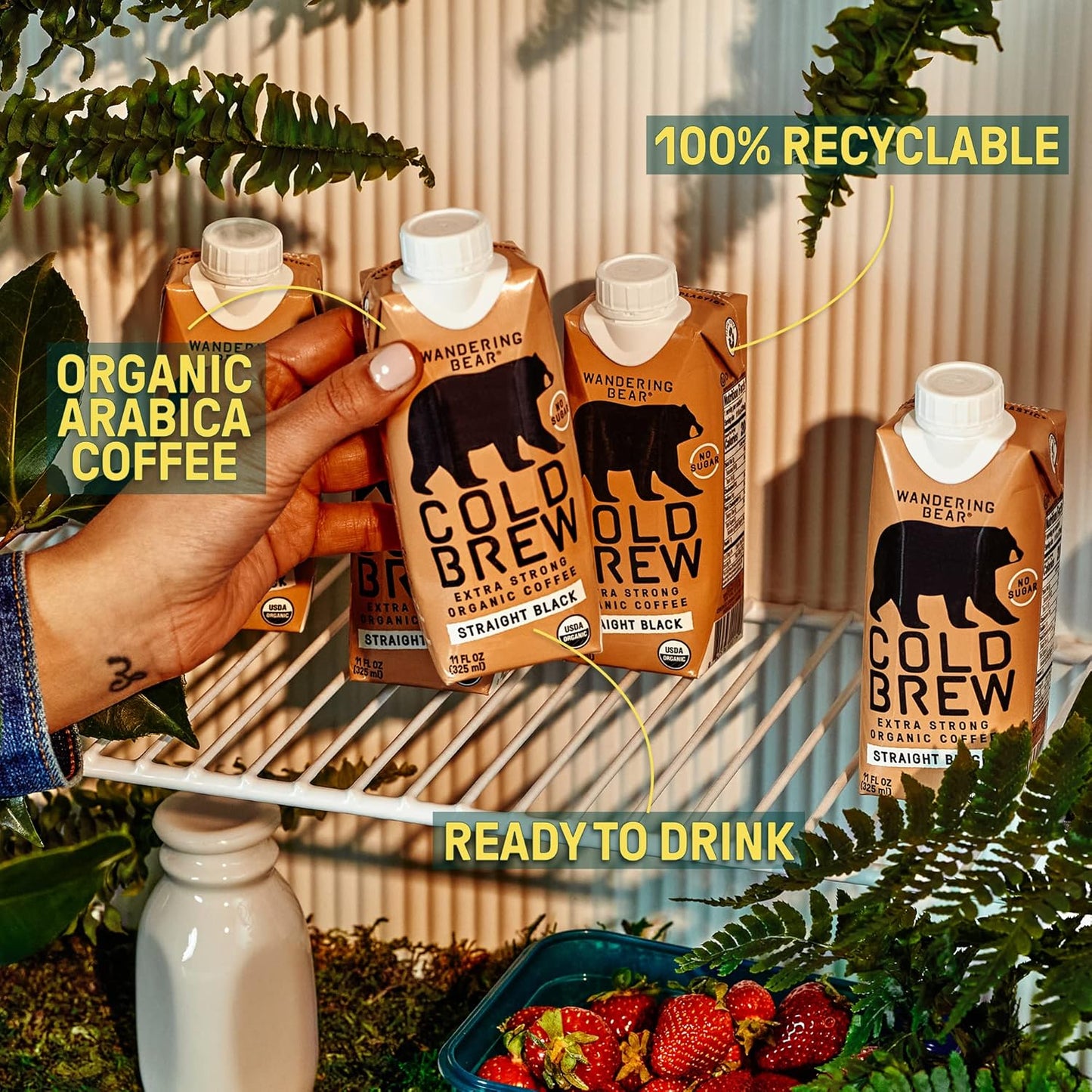 Wandering Bear Straight Black Organic Cold Brew Coffee On-the-Go, 11 fl oz, 12 pack - Extra Strong, Bold, Smooth, Unsweetened, Shelf-Stable, Ready to Drink, 100% Organic Iced Cold Brewed Coffee Drinks