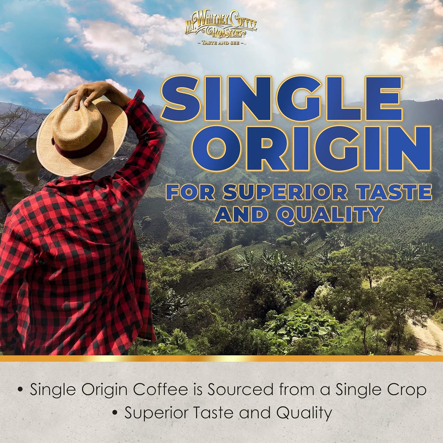 Mt. Whitney Costa Rica Estate Tarrazu Low Acid Coffee (Ground, 2 Lb)