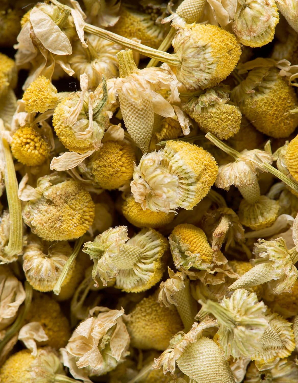 Dammann Freres Sachets, Chamomile Tea Bags, Premium Gourmet French Herbal Tea, Individually Wrapped, 21 Count (Single Pack)