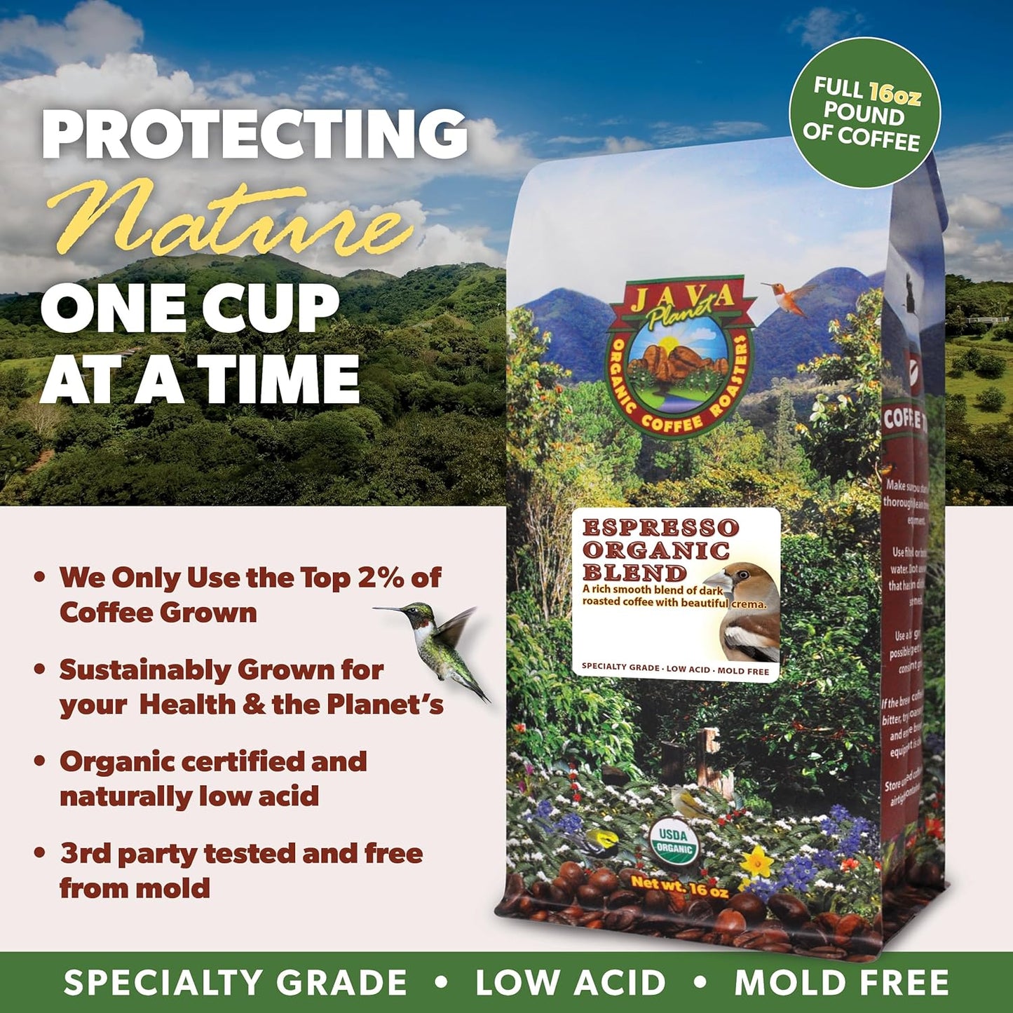 Low Acid Organic Coffee – Whole Bean, Mold-Free & Stomach Friendly by Java Planet, Espresso Blend Coffee, Dark Roast, Smooth Full Flavored, 2x1LB Bag