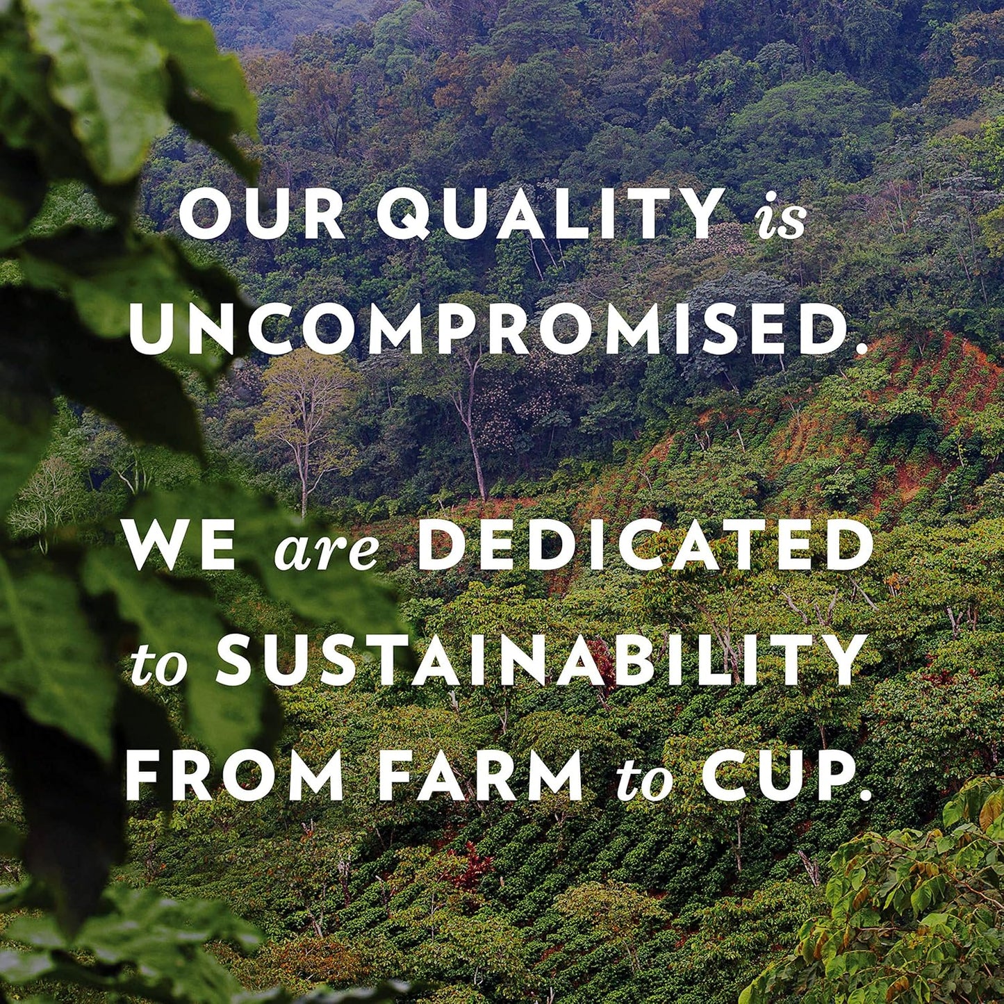 Community Coffee Coffee & Chicory 72 Count Coffee Pods, Medium-Dark Roast, Compatible with Keurig 2.0 K Cup Brewers, 72 Count (Pack of 1)